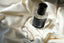 Lunar Dust Wins Best Skin Scent at the Marie Claire UK Fragrance Awards 2026 - Mabelle O'Rama
