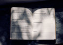 The Scentiment Journal - Mabelle O'Rama